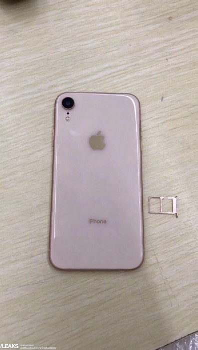 iPhone双卡双待是什么型号？iPhone XC谍照曝光仅单摄像头？