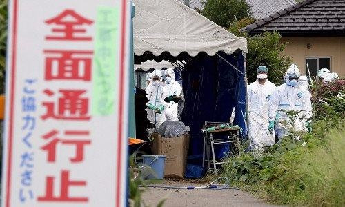 日本猪瘟爆发为1992年以来首次 日本猪瘟是什么病会致死么
