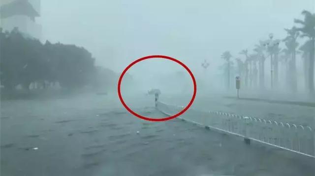 女司机拖家带口海边看台风！被淹半个车身，竟抱车大喊宝贝！