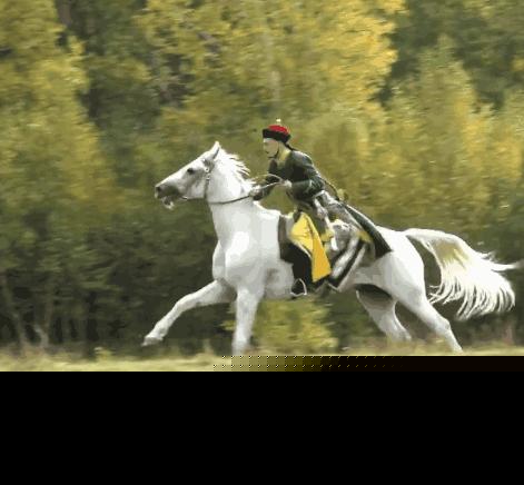 江淮瑞风m5商务车></p></a> 奥迪异响 骑马奔腾的意思是什么 骑马奔腾  表情