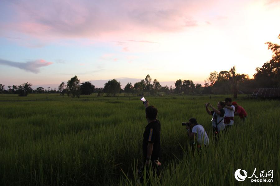 体验传统 不断创新--泰国新举措促进乡村发展