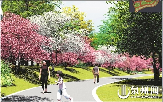 泉州市有座桃花岛 西湖公园将增添一处赏花休闲佳境