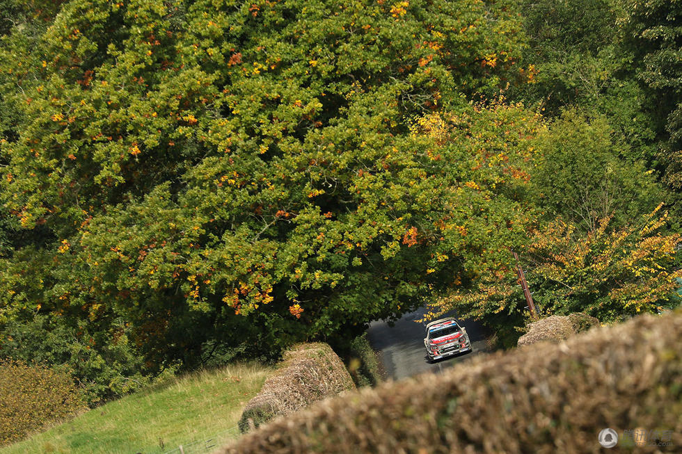 WRC英国站：泥泞的威尔士 破朔迷离的争夺战