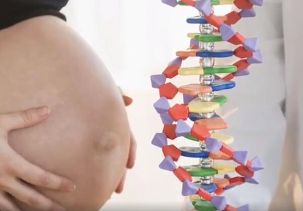 揭秘怀双胞胎基因 后代身高可基因测算？如何做双胞胎怎么怀上双胞胎