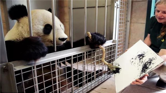 来看看旅居奥地利大熊猫的墨宝 一幅3900元！