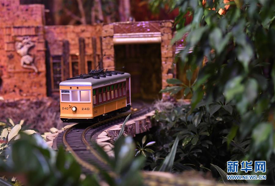 华盛顿举行迷你火车展览现场多图曝光 各种小火车缩微模型中穿行
