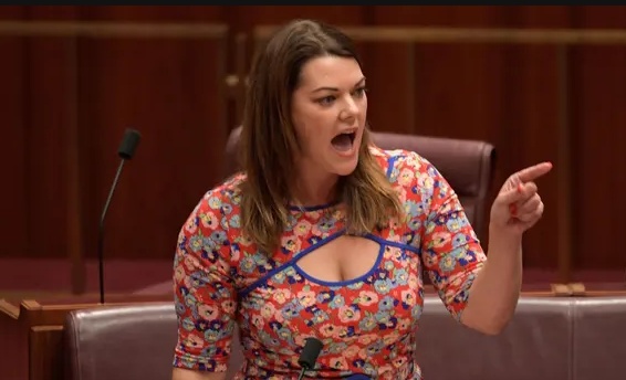 澳大利亚议会爆发口角 议员大骂“你完全是一头猪”