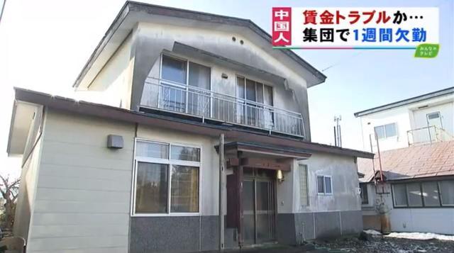 46名中国人在日本北海道集体失踪怎么回事 另有11中国人在日被捕