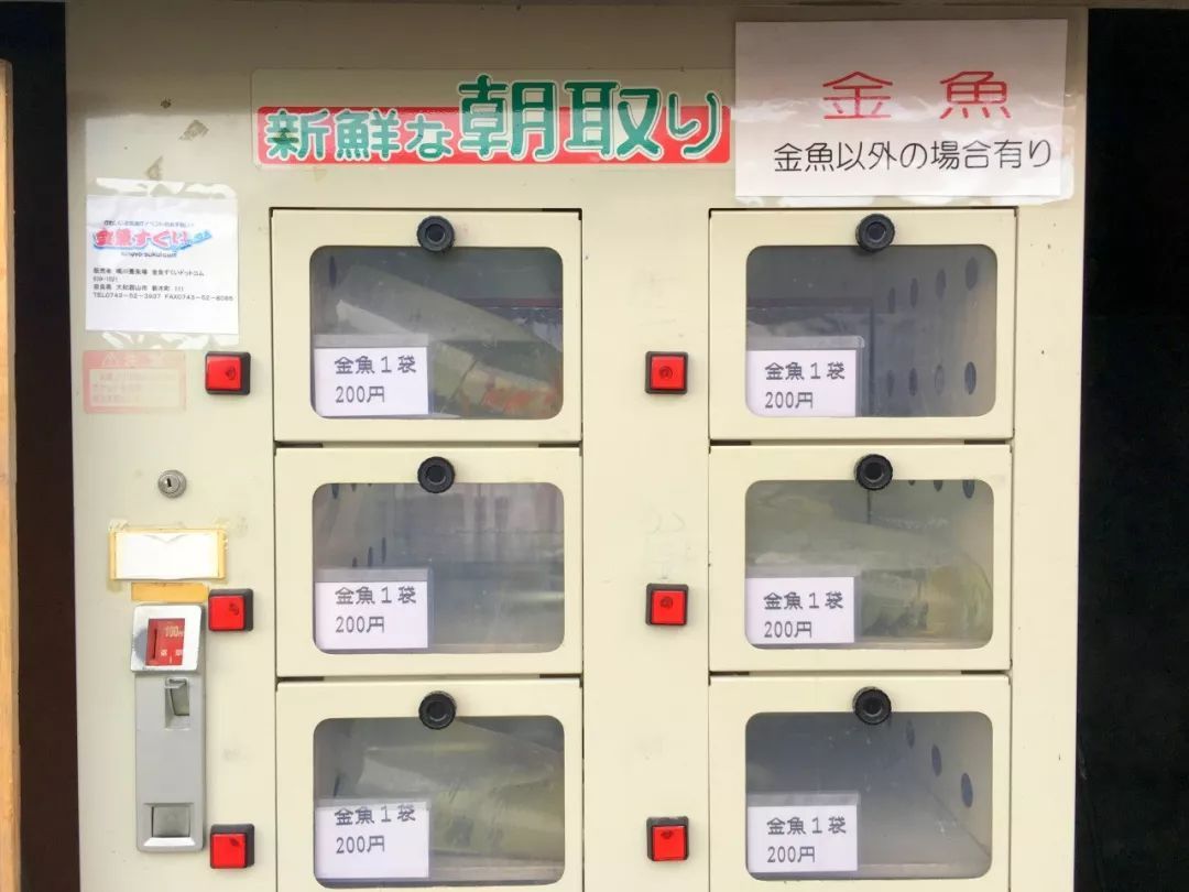 日本的自动贩卖机卖金鱼卖昆虫卖习题？现场图曝光卖的还不错！（2）
