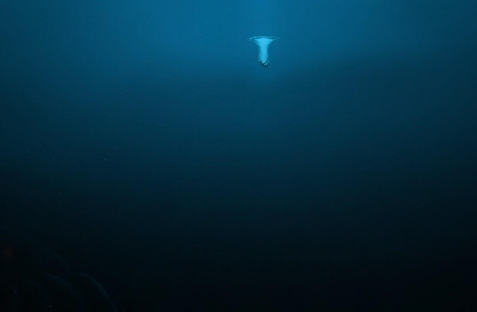 深海有什么恐怖生物 深海未知巨型恐怖生物大盘点你见过哪个？