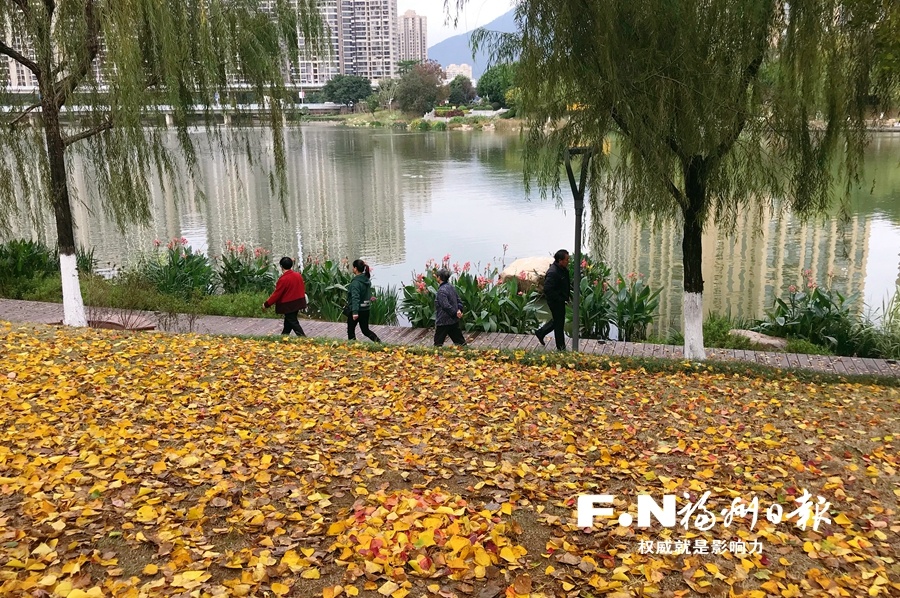 福州琴亭湖公园打造最美赏叶季