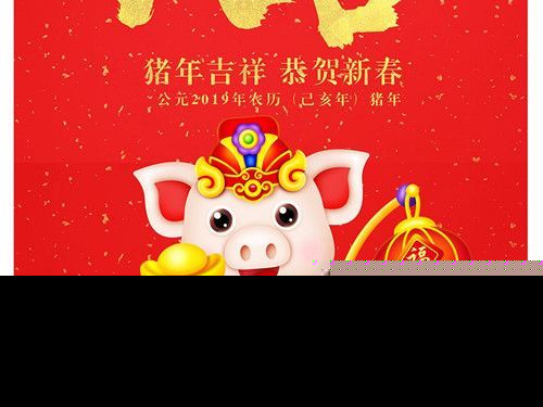 2019年猪年春晚为什么不让说猪 2019央视春晚主持人名单最新消息