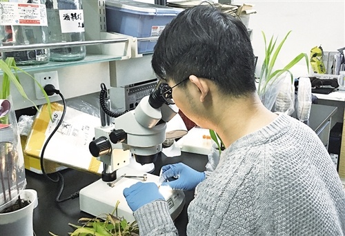 探访真菌学国家重点实验室：众里寻“菌”千百度