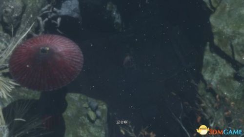 只狼超全面图文流程攻略 只狼BOSS打法攻略新手注意
