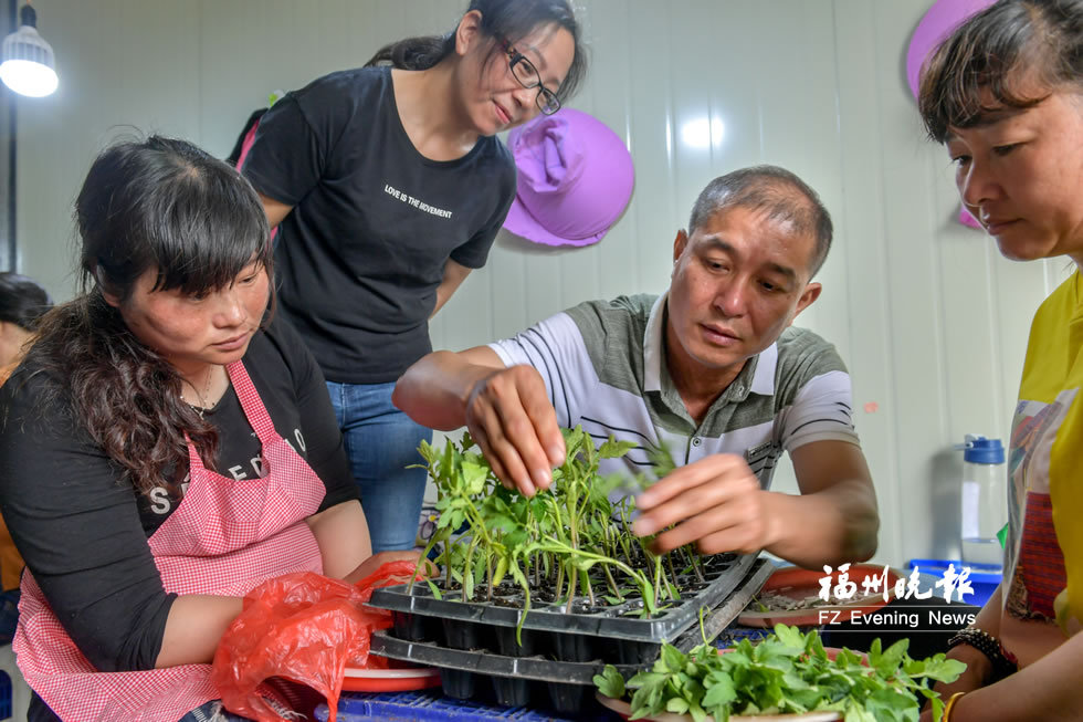 台湾媳妇郑秀玉种瓜记：一棵瓜苗起步 助建“西瓜之乡”