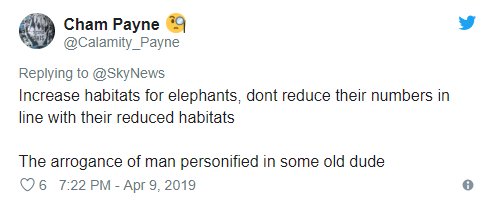 男子杀5000头大象怎么回事 杀大象犯法吗
