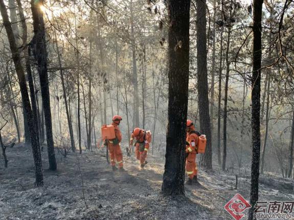 丽江森林火灾明火已扑灭 现转入火场清理看守阶段
