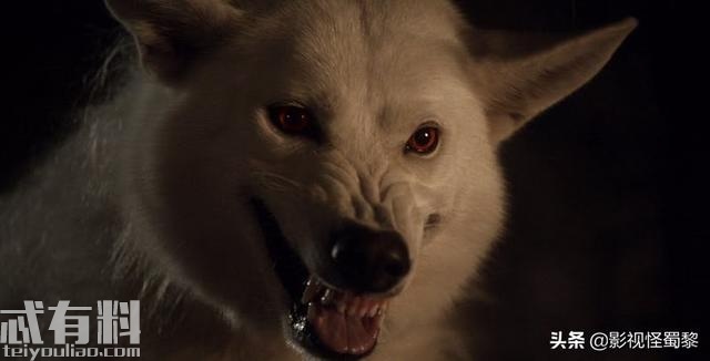 权力的游戏第八季第四集剧透解析 雪诺的龙和冰原狼的命运是什么