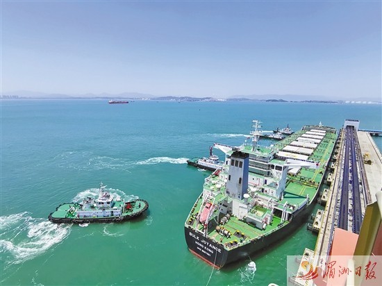 15万吨级煤船靠泊国投湄洲湾港 为规模调整后靠泊的首艘大船