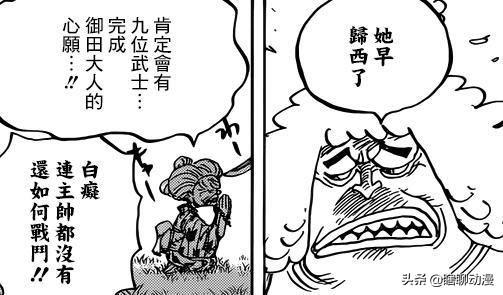 海贼王漫画942话最新情报鼠绘汉化：被关的人 多康将被处死（4）