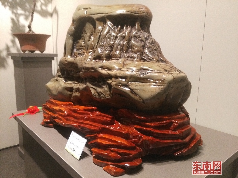 漳州举办海峡两岸赏石文化交流展 百种珍品齐亮相
