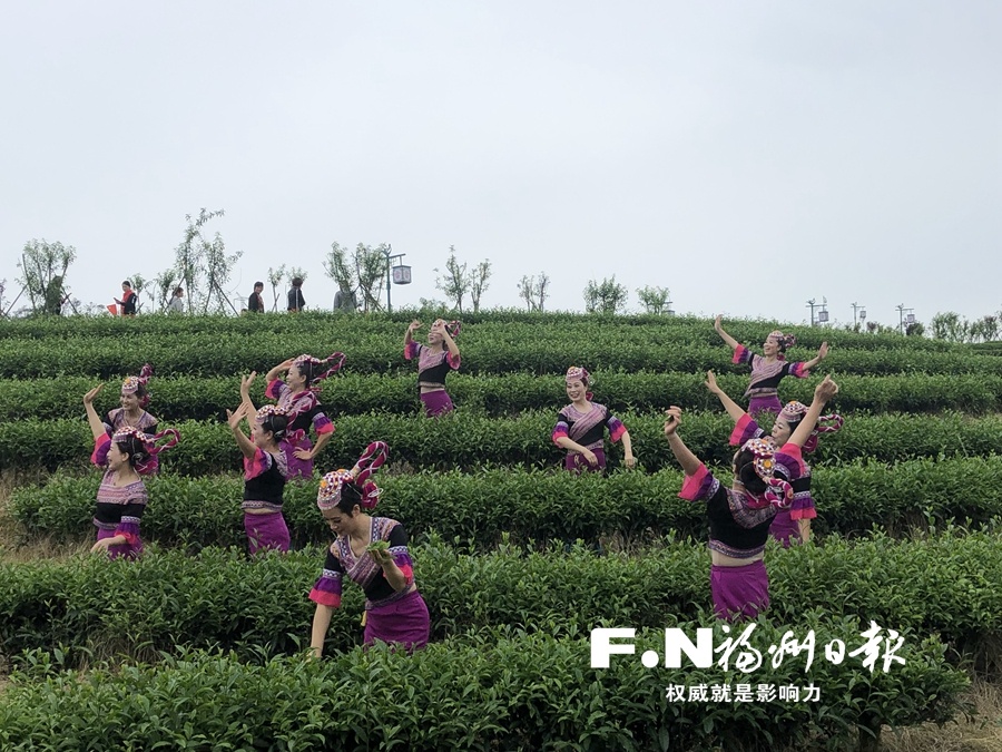 第二届长龙茶山文化节举行 活动分为六大板块