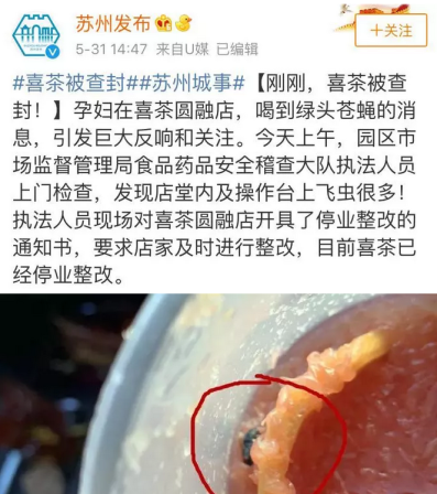 喜茶喝出绿头苍蝇怎么回事?喜茶里为什么有绿头苍蝇照片爆出太恶心