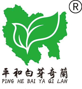 以茶为媒，乡村振兴，漳州企业助力革命老区村茶产业发展