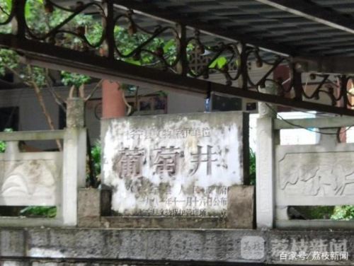 千年葡萄井又开始蓄水怎么回事？千年葡萄井为什么干涸事件始末