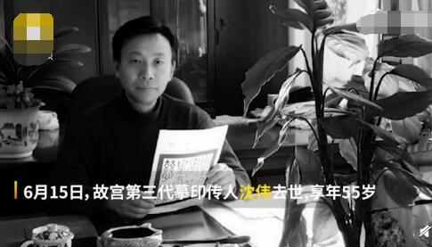 在故宫修文物的沈伟去世怎么回事？沈伟个人资料去世原因是什么