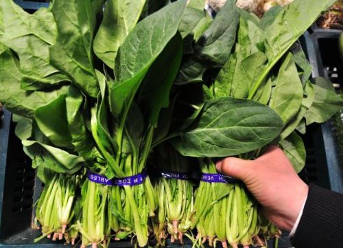 菠菜里或有兴奋剂详细情况 菠菜提取物或将被列入兴奋剂名单