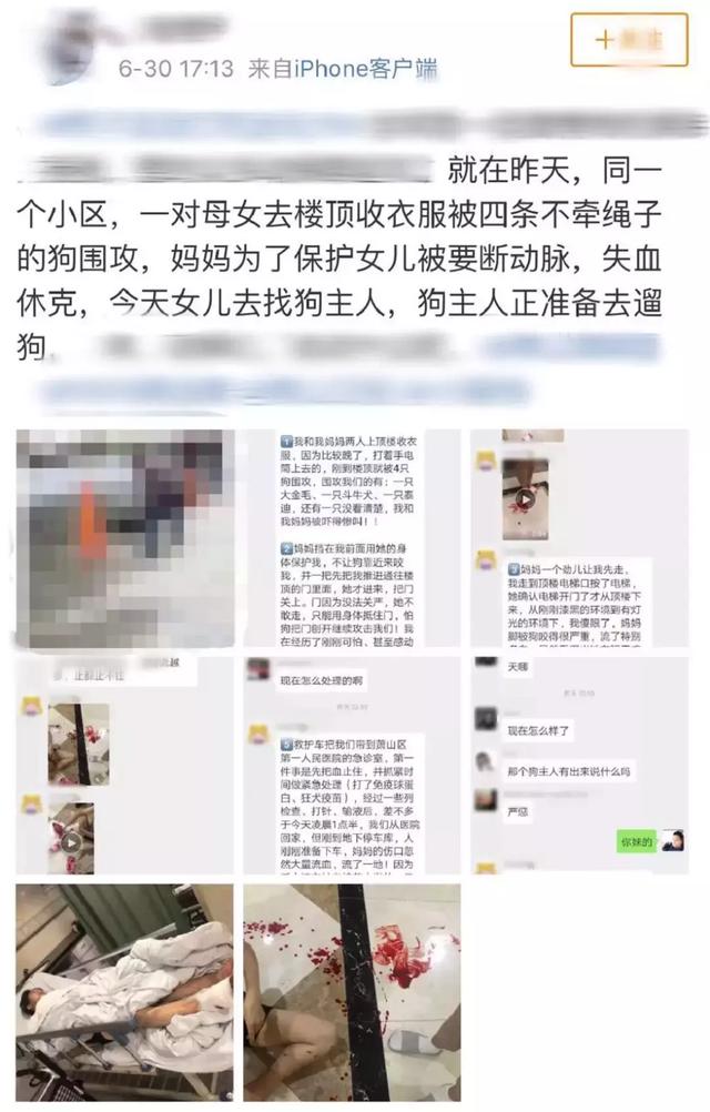 杭州母女遭狗围攻 事件经过和现场图曝光