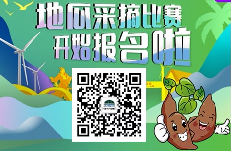 漳浦首届“六鳌地瓜”丰收节采摘比赛报名启动