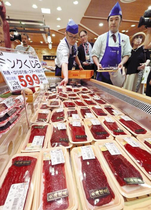 日本开始卖鲸鱼肉怎么回事 日本时隔31年重启商业捕鲸
