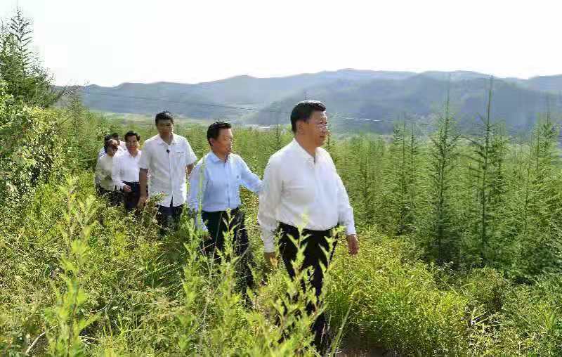 习近平：建设生态安全屏障要世世代代去做