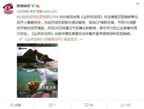 丛林的法则道歉说了什么?丛林的法则道歉始末李烈音最后怎么样了