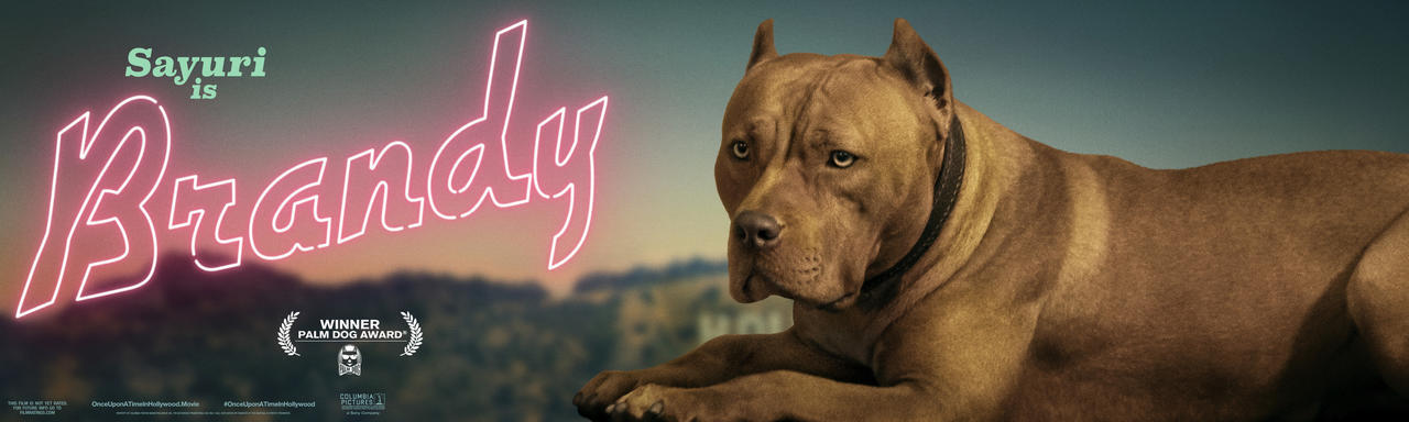 昆汀《好莱坞往事》什么时候上映？连狗狗都有专属海报