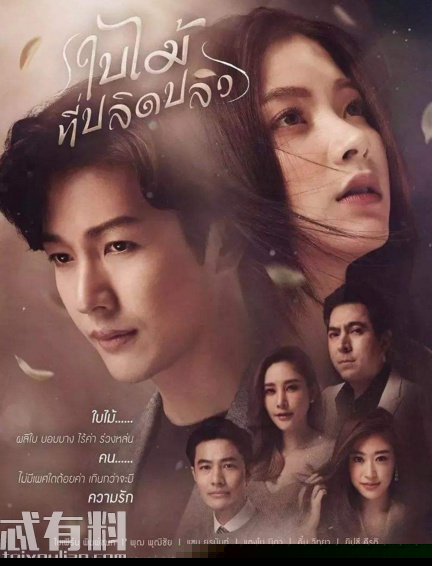 吹落的树叶第十三集主要讲了什么 第十三集什么时候更新