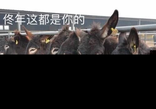 沈月哭戏怎么了为什么上了热搜？ 七月与安生沈月哭戏曝光（3）