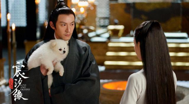 全职高手：杨洋不油腻 这份“荣耀”令人感动