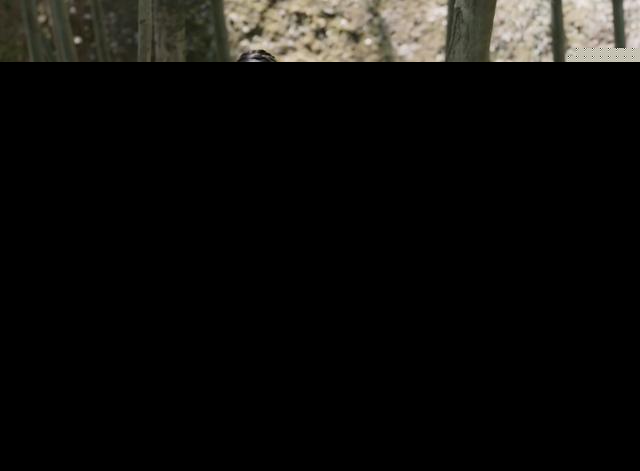 宸汐缘：女主同款衣服反复的换着穿 女二衣服比女主还多