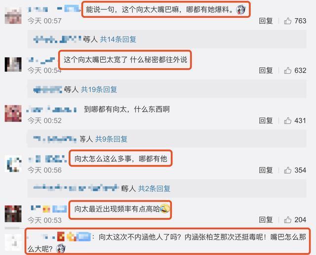 向太回应马伊琍离婚却被骂大嘴巴，发文称不愿文章被冤枉有第三者