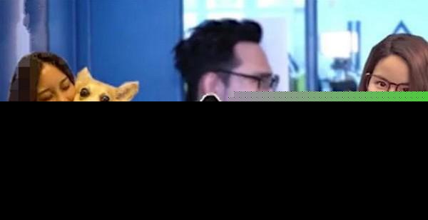 张致恒被曝光脚踏N船后终于开腔道歉 希望能给机会改过重新做人