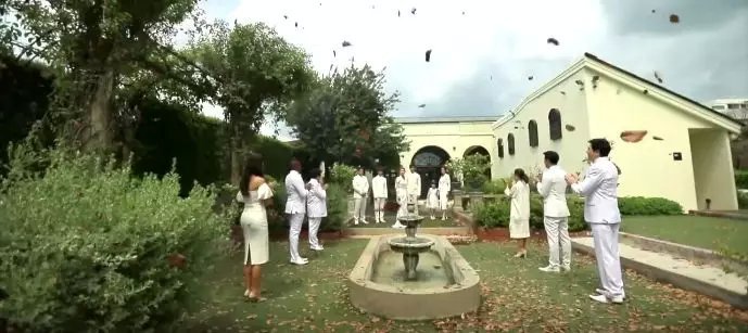 吹落的树叶1-20集全集分集剧情介绍，吹落的树叶大尺度画面（图）（2）