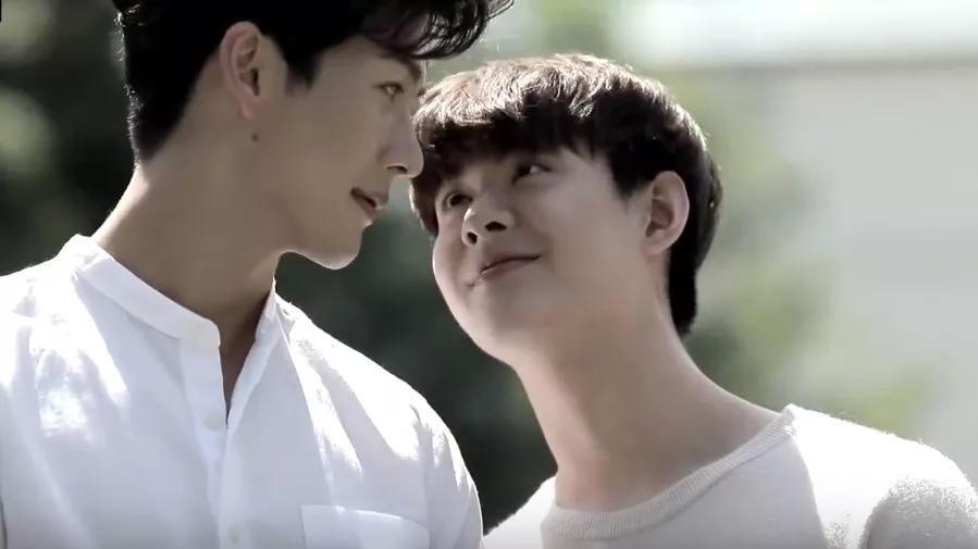 吹落的树叶1-20集全集分集剧情介绍，吹落的树叶大尺度画面（图）