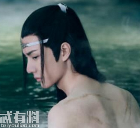 陈情令蓝忘机的戒鞭痕烙印哪里来的 蓝忘机为什么要保护魏无羡