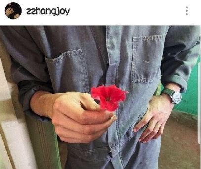 屈楚萧张婧仪恋情是真的吗 屈楚萧张婧仪在一起了吗