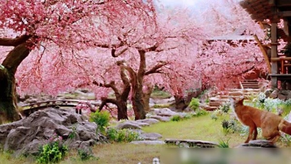 宸汐缘：露出真身九宸霸气花蓼可爱 灵汐让人眼前一亮