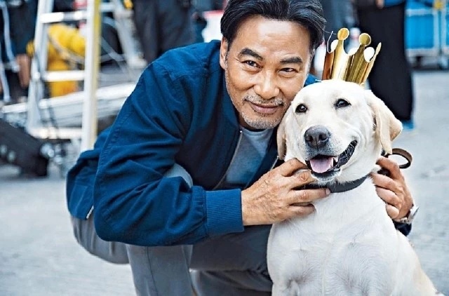 任达华公开伤势最新情况：右手还没拆线有点肿，换衣服抹身靠太太