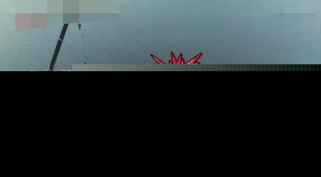 评分从9.2到4.1，《极限挑战》衰落背后有哪些原因？